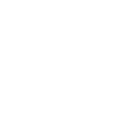 AD&ADAS事業